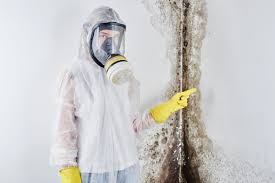 Mold Remediation for Rental Properties in Weston, FL